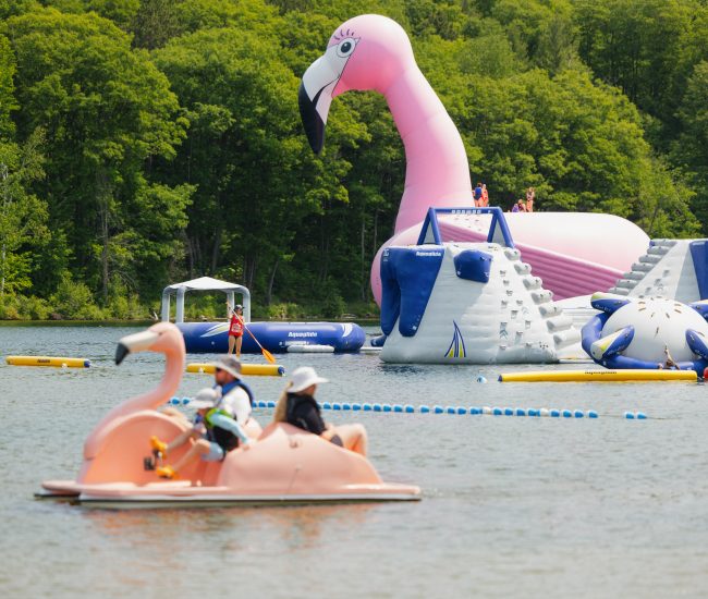 Giant Floating Flamingo